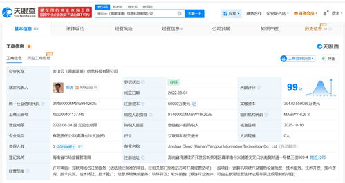 金山云旗下海南洋浦信息科技增資至6億美元，強化信息系統集成服務布局